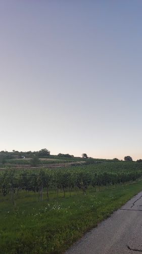 Perfil de Banushh en Austria