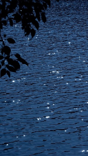 Perfil de sunshine en Puerto Rico