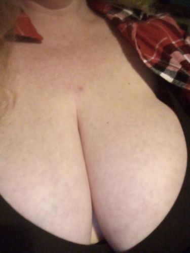 Perfil de Whiskeyginger en New Zealand