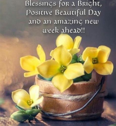 Perfil de Desire23 en Trinidad and Tobago